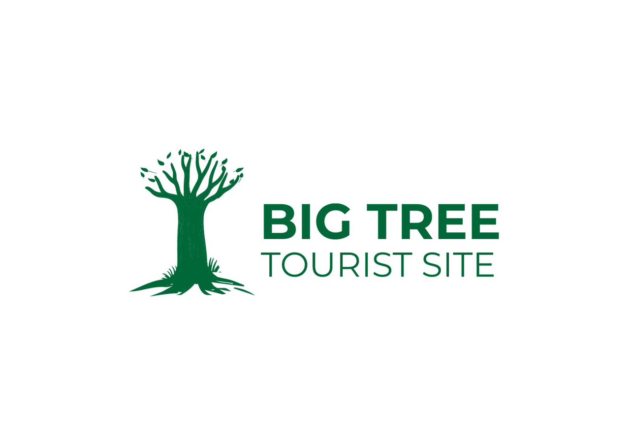 Big Tree Tour Site