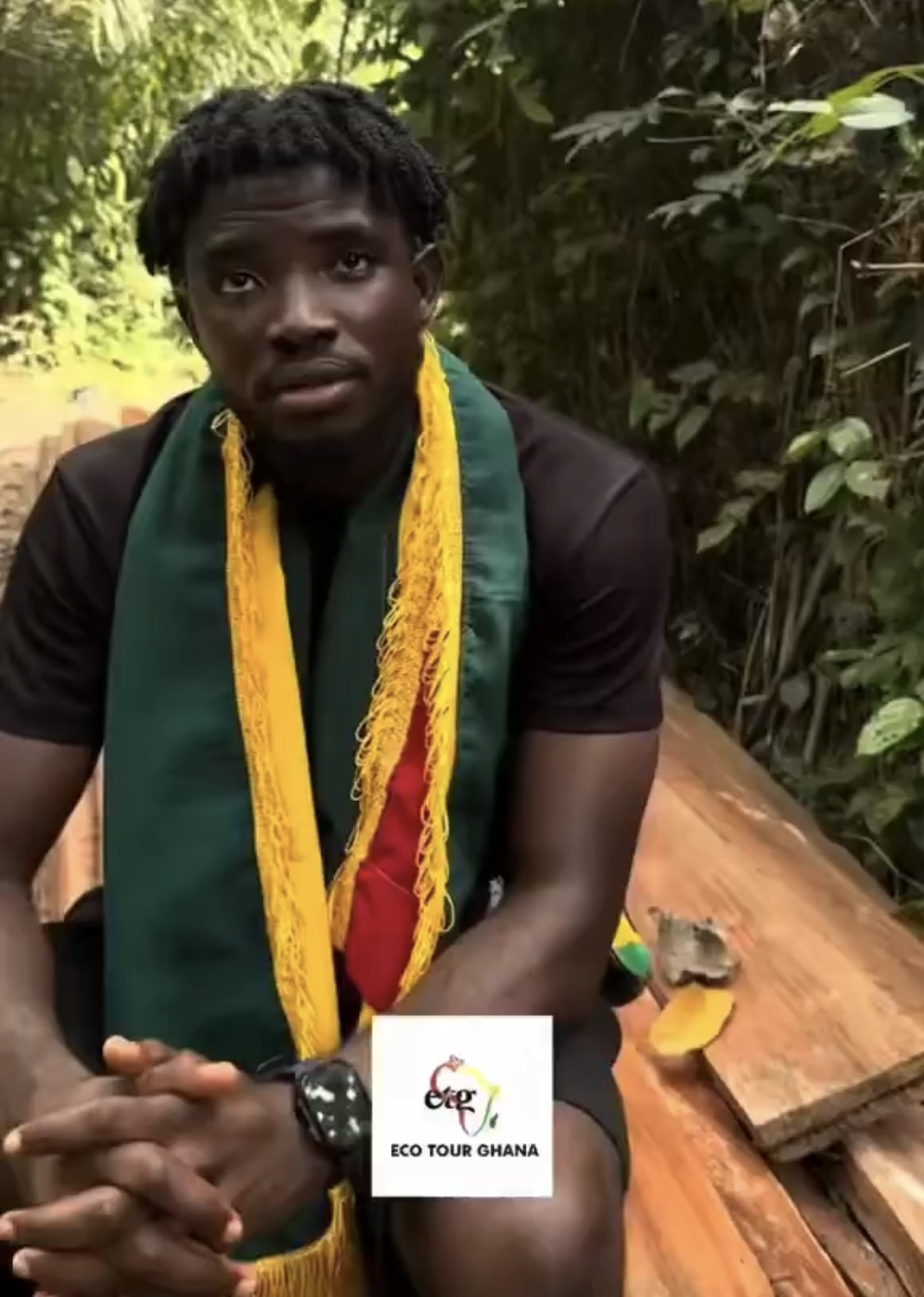 “This Is Heartbreaking”: Tour Guide Raises Alarm Over Illegal Tree Cutting at Afadjato