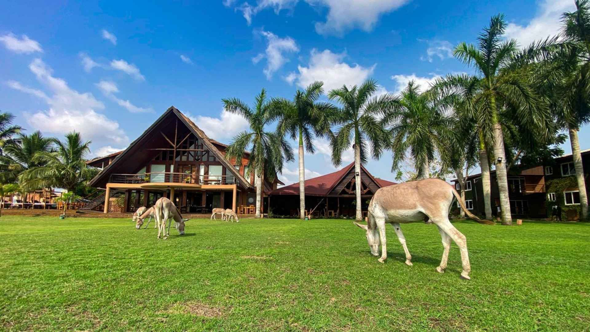 9-DAY COASTAL GHANA & HISTORIC TOUR