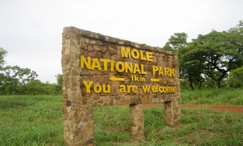 How to Get to Mole National Park from Accra: Routes, Transport and Travel Tips
