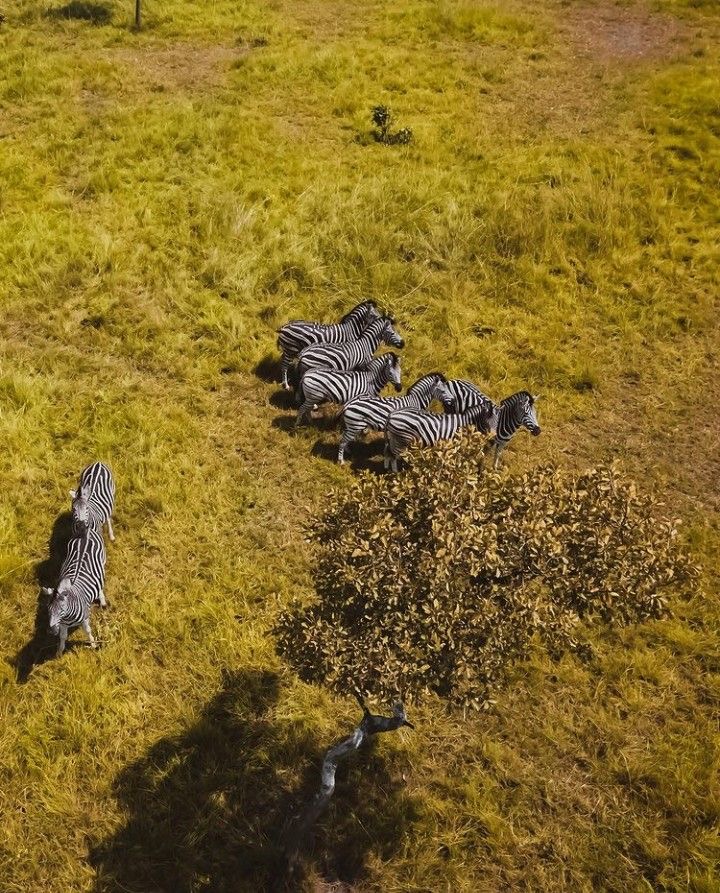 Wildlife Experiences to Have in Ghana - 2026
